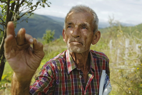 Heimweh 4 C Horse Und Fruits