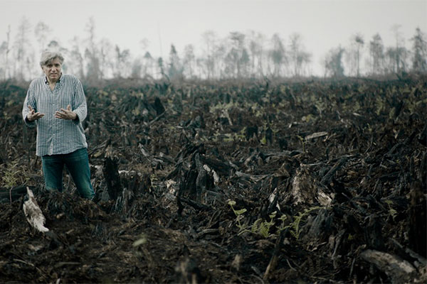 Umweltdokus Werner Boote The Green Lie