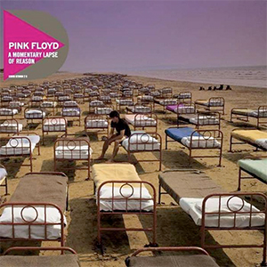 Pf Momentary Lapse Of Reason