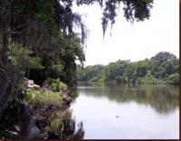 bayou1