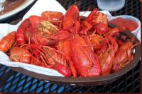 crawfish