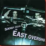 dillon_east_overshoes