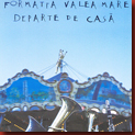 formata_valea_mare_cover